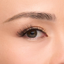 Show Off a false lash with delicately tapered inner corners transition into flared outer corners designed with extra-long wispy fibers and bold volume shown on an eye.