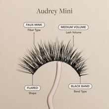 Audrey Mini false lash faux mink fibers, medium volume, flared shape, and black lash band.
