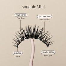 Boudoir Mini false lashes faux mink fibers, full volume, round shape, and black lash band.
