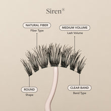 Siren false eyelash natural fiber, medium volume, round shape, and clear lash band.