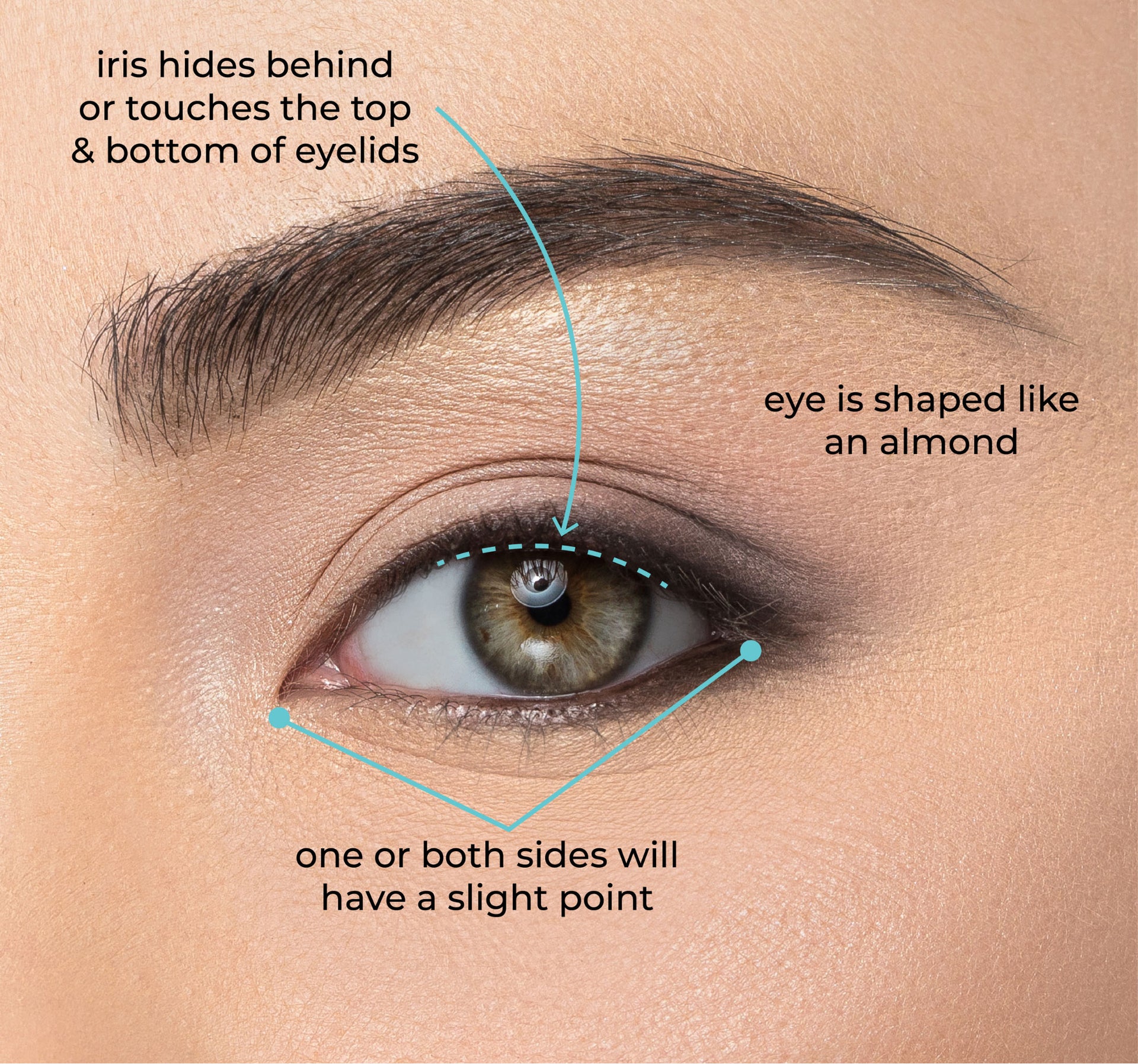 Eye Shape Guide – House of Lashes®