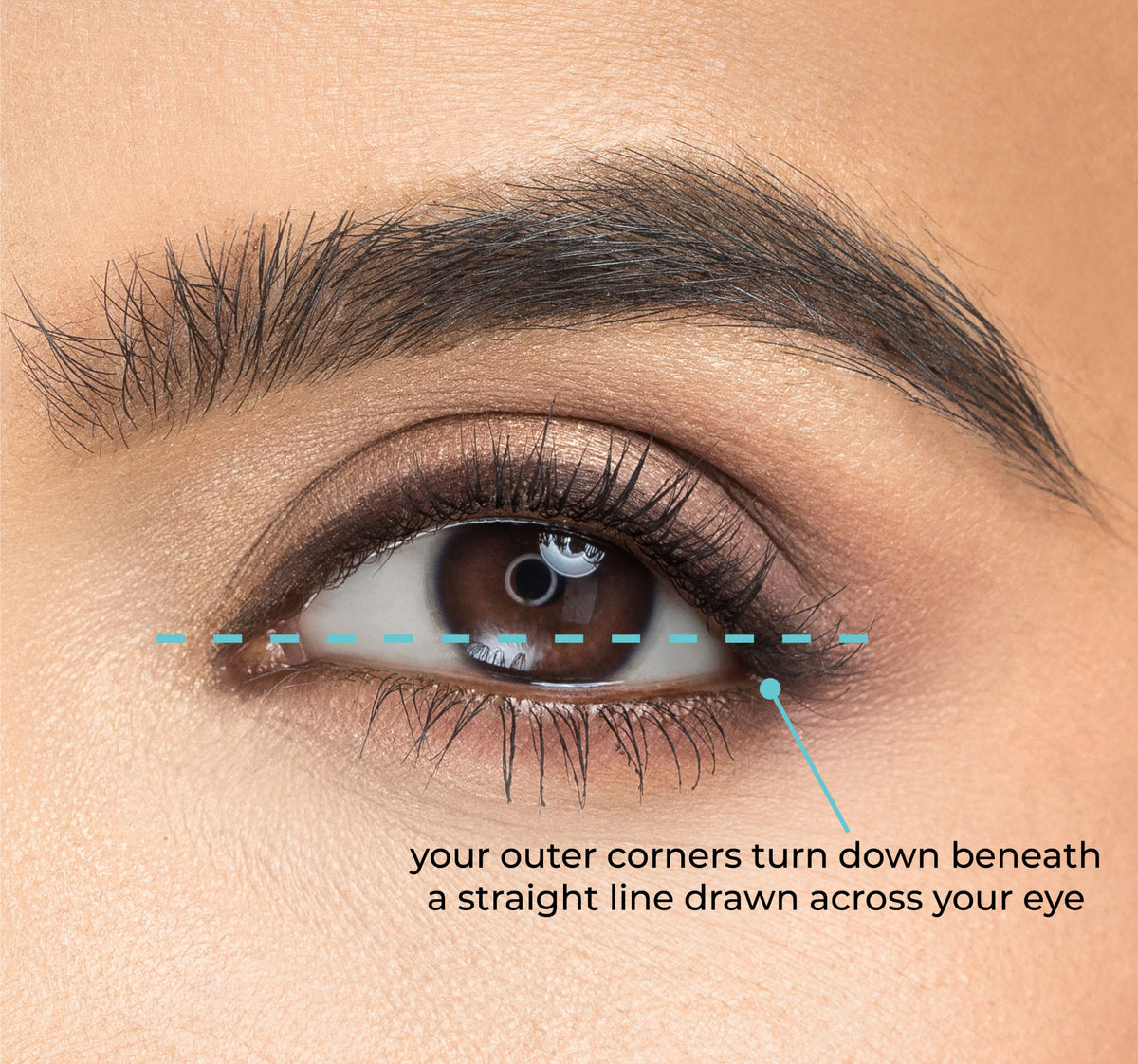 Clean Eye Shape Eye Shape Guide – House of Lashes®