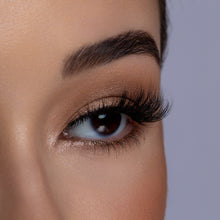 Side view of Show Off false eyelashes. 